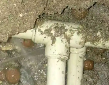 尼玛测漏水多少钱